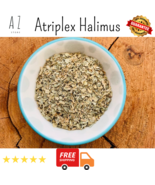 Organic Dried Premium Atriplex Halimus Natural Herb عشبة القطوف رغل ملحي - $25.81 CAD+