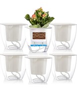 Lyellfe 6 Pack Plastic Self Watering Pots, 4 Inch Clear African, And Orc... - $669.41 MXN