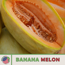Grow In US 25 Banana Melon Cantaloupe Seeds Heirloom Non-Gmo - £7.45 GBP