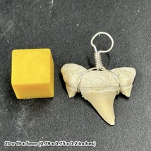 Otodus Shark Tooth Wire Wrapped Pendant Fossil, Prehistoric, Gift - $11.52