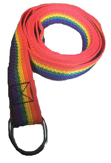 Rainbow Slip Style Dog Leash 6 ft Vet Rescue Shelter Training 5 or 10 Lead Packs