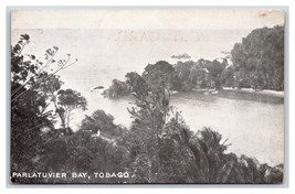 Parlatuvier Bay Uccelli Occhio Vista Tobago Bwi Miller&#39;s Negozi Unp Udb Postcard - £27.39 GBP