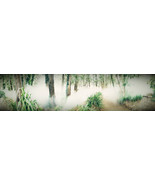 AllenbyArt Fog Machine Landscape Scenery of Northern Hardwood Forest Wal... - $60.00+