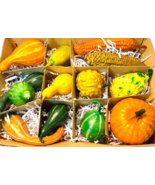 Wax Harvest Fruit Mix Realistic Decoration Display, Artificial 13-Peice Set - $18.66 CAD