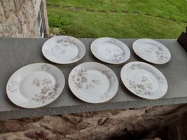  6  Tirschenreuth Apple Blossom China  Germany Pasco Gold bread plates - £21.06 GBP