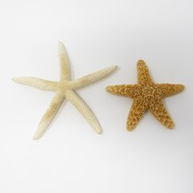 Starfish Dried Genuine Sea Shell Ocean Decor LOT OF 2 Nautical Summer Co... - $10.99