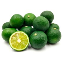 Sudachi Citrus Tree 2-3 feet tall, grafted, Can not ship to Az, Ca, Fl, ... - $180.00