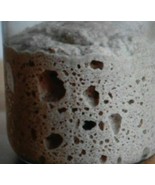 ORIGINAL WHARF SAN FRANCISCO SOURDOUGH STARTER yeast bread flour ACTIVE ... - $10.64 CAD