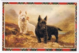 Postcard Twa Scotties Two Scottie Dogs Scotland UK - £3.10 GBP