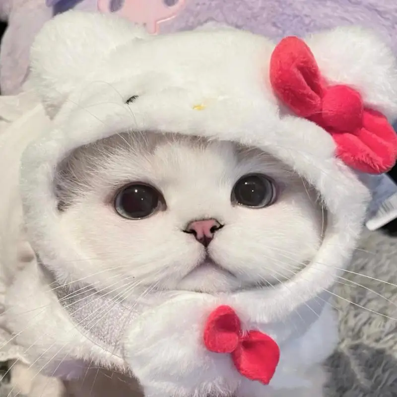 Kawaii Sanrio Plush Pets Cat Hat My Melody Cinnamoroll Accessories Cute Beauty - £11.83 GBP