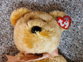 Ty Beanie  Buddies Cashew The Super Soft Plushy Brown Bear - $19.99