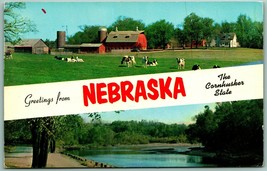 Doppio Vista Banner Greetings From Nebraska Cornhusker Stato Cromo Cartolina F6 - £2.37 GBP