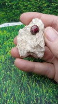 Almandine Garnet w/ Mica - Utah, USA - $29.89
