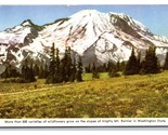 Mount Rainier Washington WA UNP Chamber of Commerce Chrome Postcard S9 - $2.92