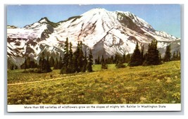 Mount Rainier Washington WA UNP Chamber of Commerce Chrome Postcard S9 - £2.33 GBP
