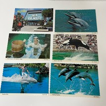 Lot of 6 Vintage Sea World Florida Postcards Pearl Diving Shamu Dolphins - £11.16 GBP