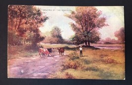 Cows Country Rural Nature View Scene Grazing by the Roadside R Hill 1903 - £11.01 GBP