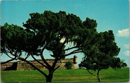 Castillo De San Marcos National Monument St. Augustine Florida Postcard - £7.82 GBP