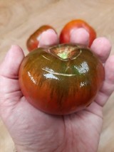 True Black Brandywine Tomato from the USA - 5+ seeds - P 484 - £1.59 GBP