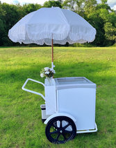 GELATO ELECTRIC CART ELECTRIC GELATO CART ICE CREAM VENDORS MOBILE ELECT... - $5,979.00