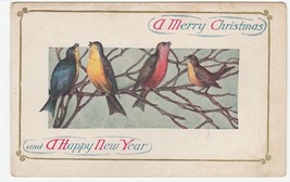 Vintage Postcard Christmas Colorful Birds on a Tree Branch Embossed - £5.51 GBP