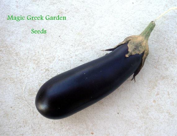 Eggplant heirloom  seeds - 200 seeds - code 015 Item image 2