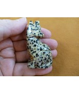 (Y-COY-SI-707) spotted Jasper COYOTE wild dog gemstone carving FIGURINE ... - $333.19 MXN
