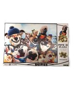 Winter Pets Selfie Prime 3D 500 Piece Puzzle Howard Robinson Design 24X1... - €12,00 EUR