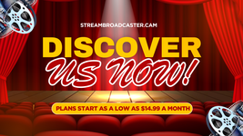 PROFESSIONALLY DESIGNED TV  WEBSITE with 1 free month streaming hosting - $29.99