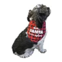 Woof Pet Bandana &quot;Dear Santa I Can Explain&quot; - Size S/M - New - £10.32 GBP