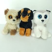 Lot of 3 Puppy Dog Beanie Boos Buff Rootbeer Brutus Plush Stuffed Animal 6" Ty - £15.97 GBP