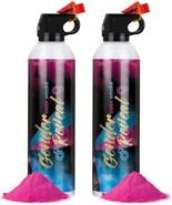 Gender Reveal Fire Extinguisher 2 Packs, Gender Reveal Ideas, Baby Girl ... - €29,31 EUR