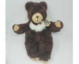 VINTAGE 1984 AMERICAN TOY MOBY BROWN TEDDY BEAR LEUKEMIA STUFFED ANIMAL ... - $75.05