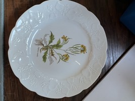 Dansk Ivy Lierre Sauvage Accent Dinner Plate Diplotaxis Muralis 10 3/4” - $24.74