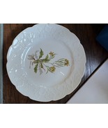 Dansk Ivy Lierre Sauvage Accent Dinner Plate Diplotaxis Muralis 10 3/4” - $24.74