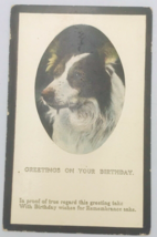 Antique 1910&#39;s Scotch Collie Dog Birthday Greeting Postcard - $7.69