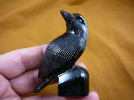 (Y-BIR-RA-301) Black Raven Crow Onyx Carving Peru Figurine Bird Noir Ravens - £21.92 GBP