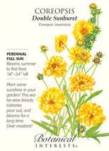 Double Sunburst Coreopsis Seed 800 Mg Fresh Garden USA Shipping - $15.57