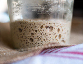 The Original San Francisco Sourdough Starter "Sally" + Many Recipes @ Fresh - $9.00