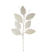 Champagne Magnolia Leaf Spray with Twig Accent (Set of 12) - $3,007.45 MXN