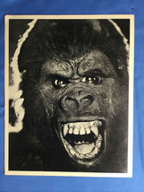 Vintage Photo Gorilla 8” X 10” - $280.70 MXN