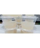 4 Plant General Media Multi-Purpose Culturing Gel Cups Pre-Sterilized Ready to U - $36.95