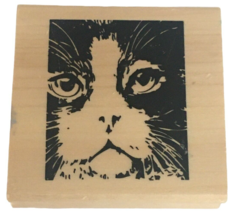 Anitas Rubber Stamp Cat Face Kitty Portrait Art Animal Nature Card Makin... - $9.99