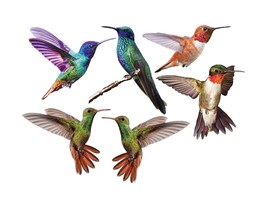 3&quot; Sized 6pcs Hummingbird Bird Window or Wall Vinyl Decals - $7.87