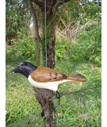 Bird Figurine Decoration Song Bird Statue Cement Painting  - £38.71 GBP