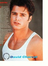 David Charvet teen magazine pinup clipping muscles Baywatch 90&#39;s Popstar - £2.74 GBP