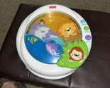 Fisher Price 2009 Precious Planet Melody Musical Crib Motion Soother - $24.75