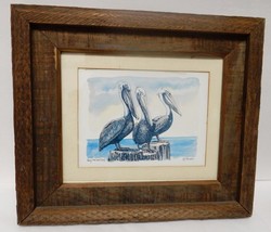 R E Kennedy Larry Moe Curley Art Print Pelicans Birds Wood Frame 8&quot;x6&quot; Estate - £53.99 GBP