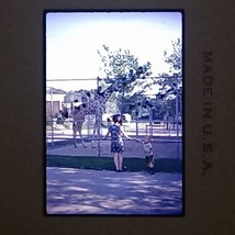 Mother In Dress And Child Watching Zoo Giraffe 1970 VTG 35mm Found Slide Photo - £7.82 GBP