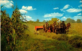 Vintage Postcard Amish Farmers Harvesting The Hay-BK35 - £1.55 GBP